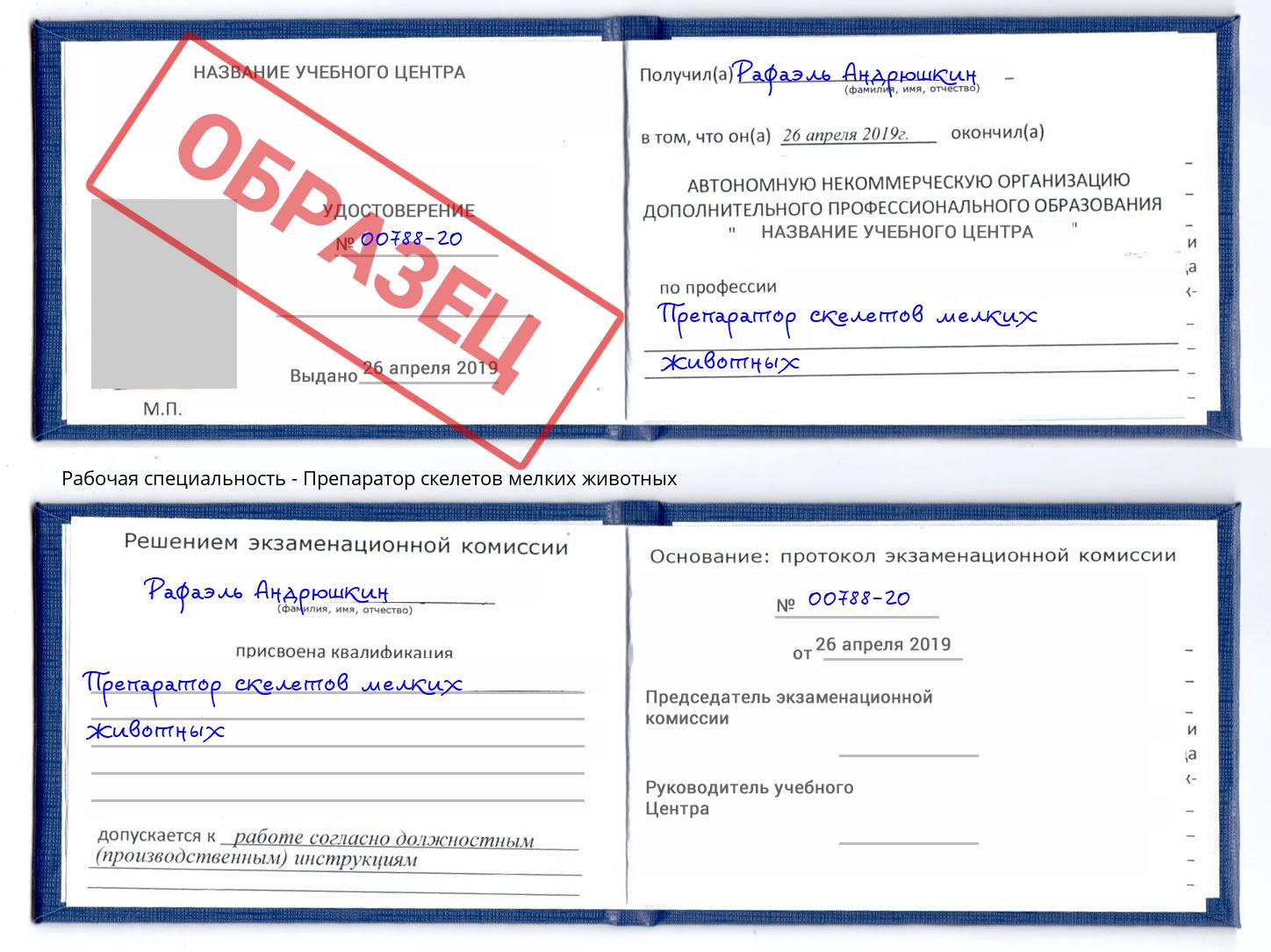 Препаратор скелетов мелких животных Гусь-Хрустальный