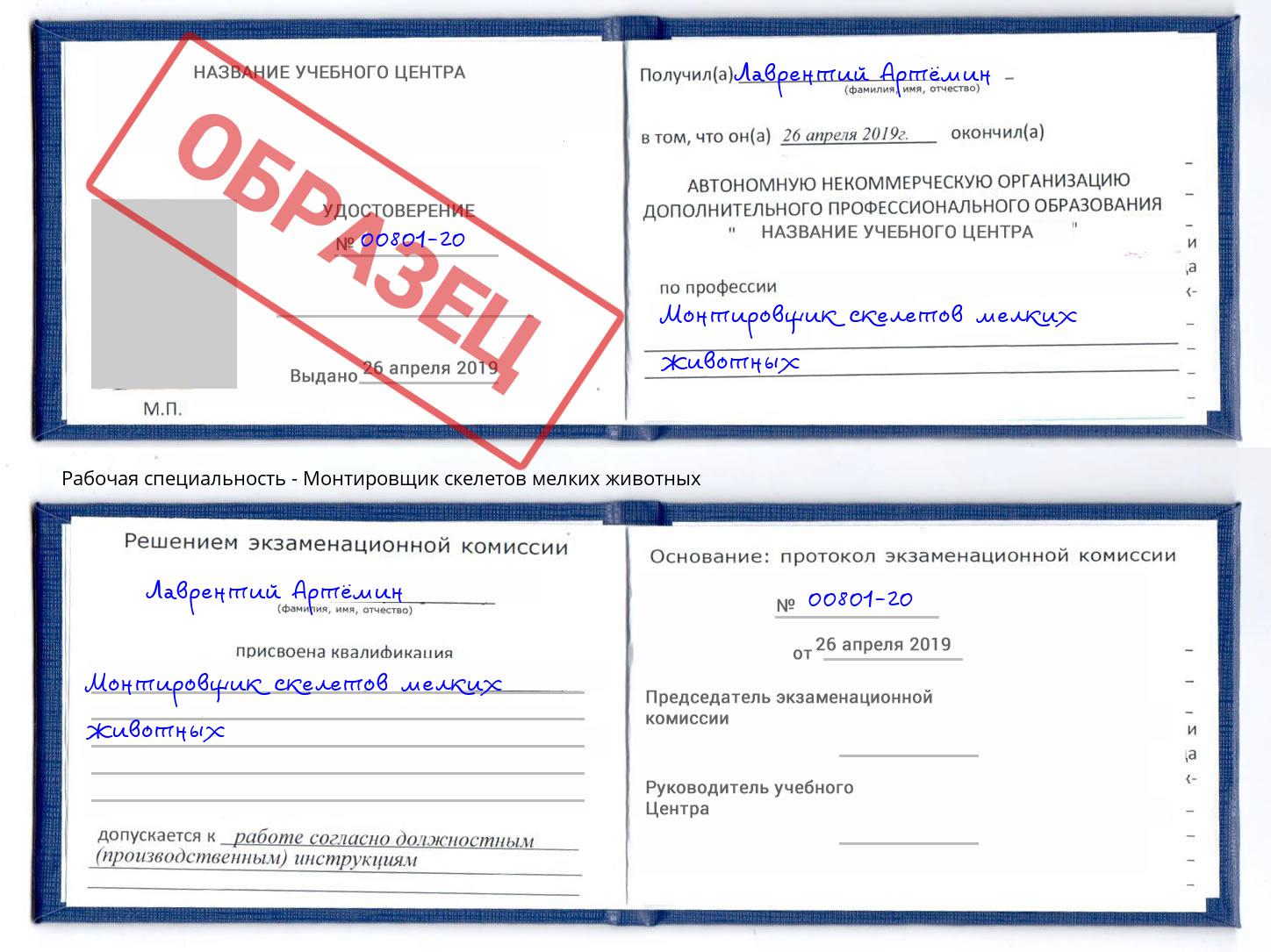 Монтировщик скелетов мелких животных Гусь-Хрустальный