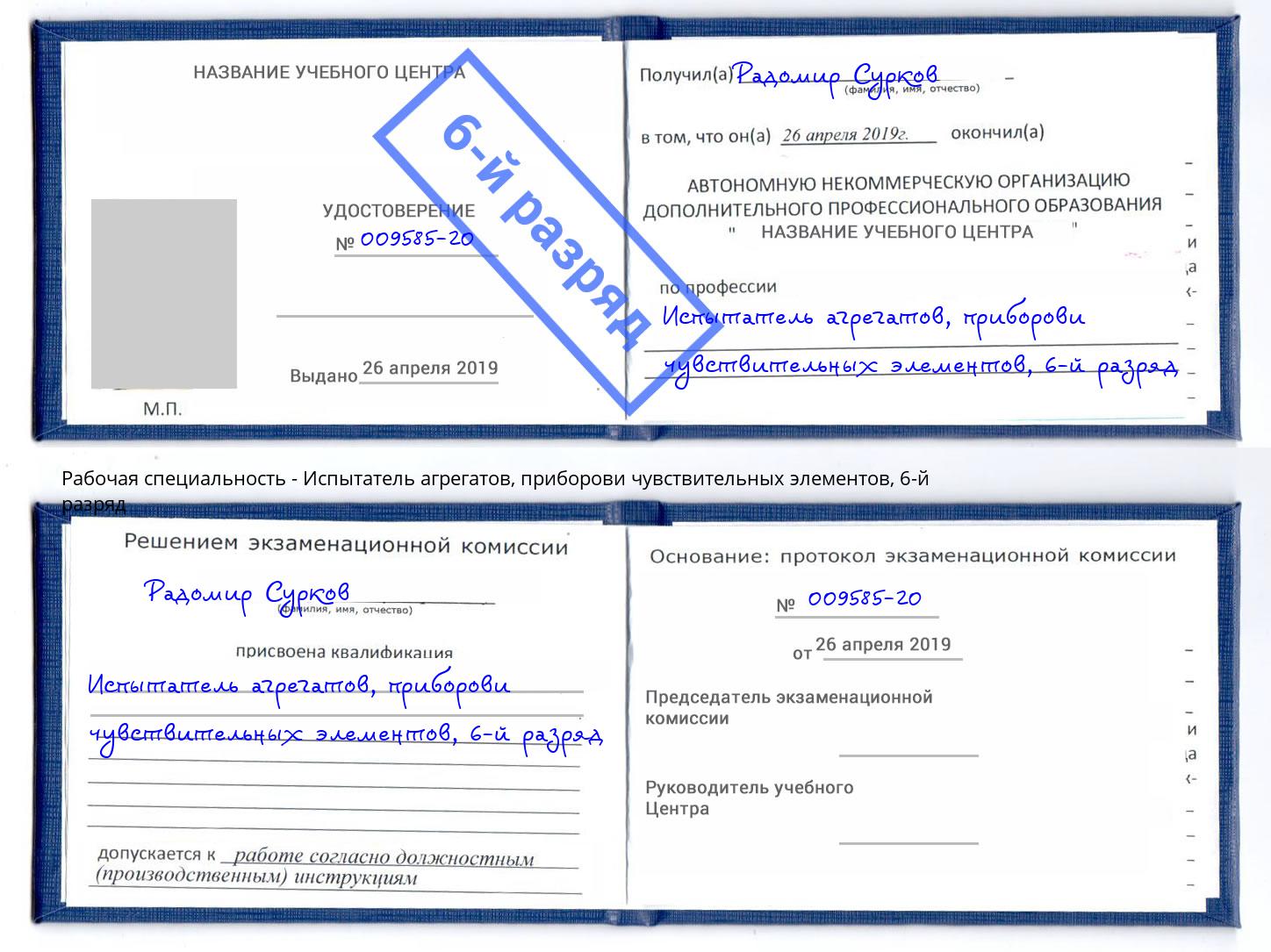 корочка 6-й разряд Испытатель агрегатов, приборови чувствительных элементов Гусь-Хрустальный