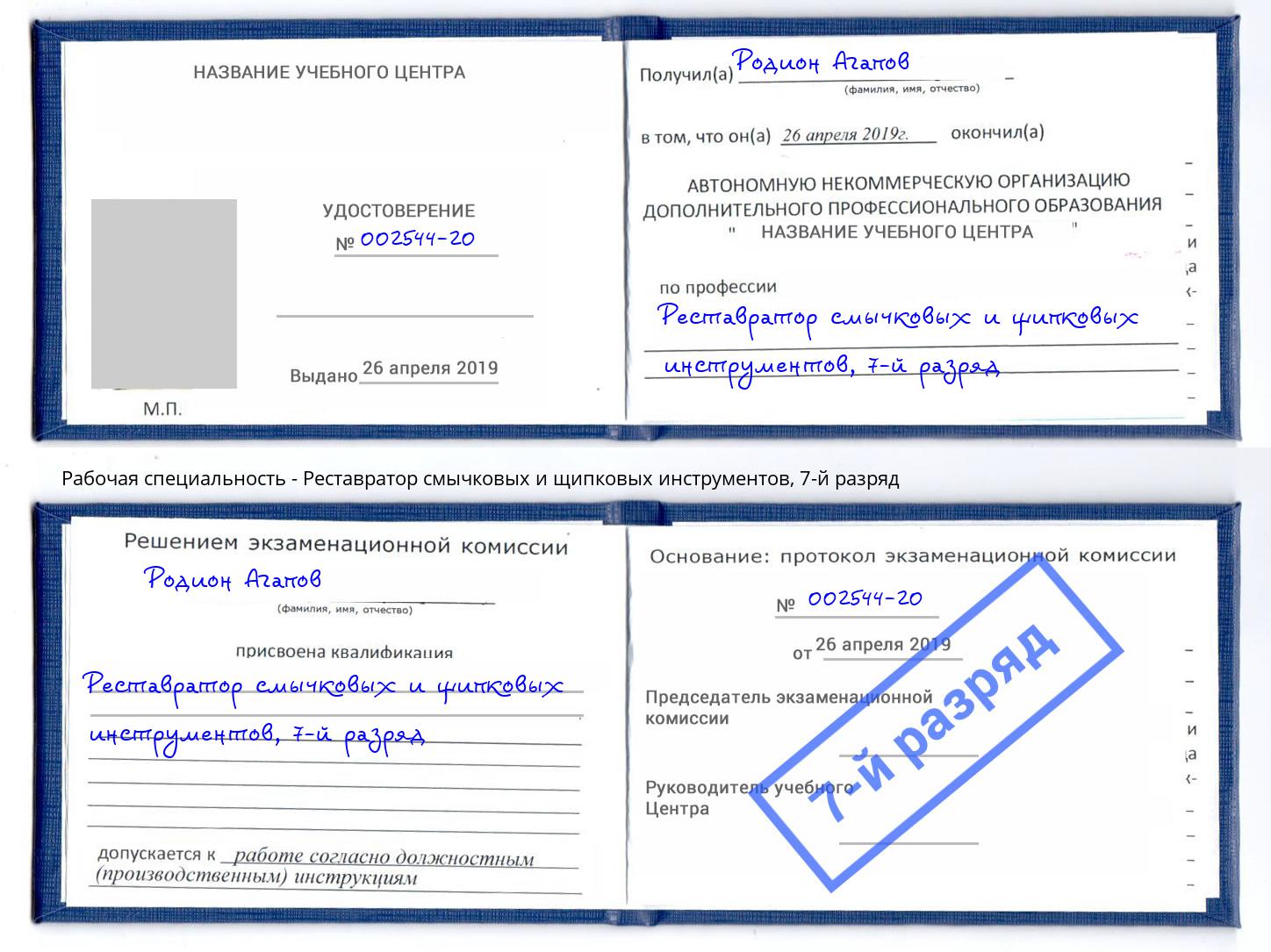 корочка 7-й разряд Реставратор смычковых и щипковых инструментов Гусь-Хрустальный