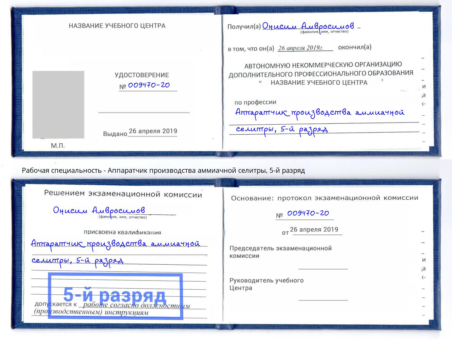 корочка 5-й разряд Аппаратчик производства аммиачной селитры Гусь-Хрустальный