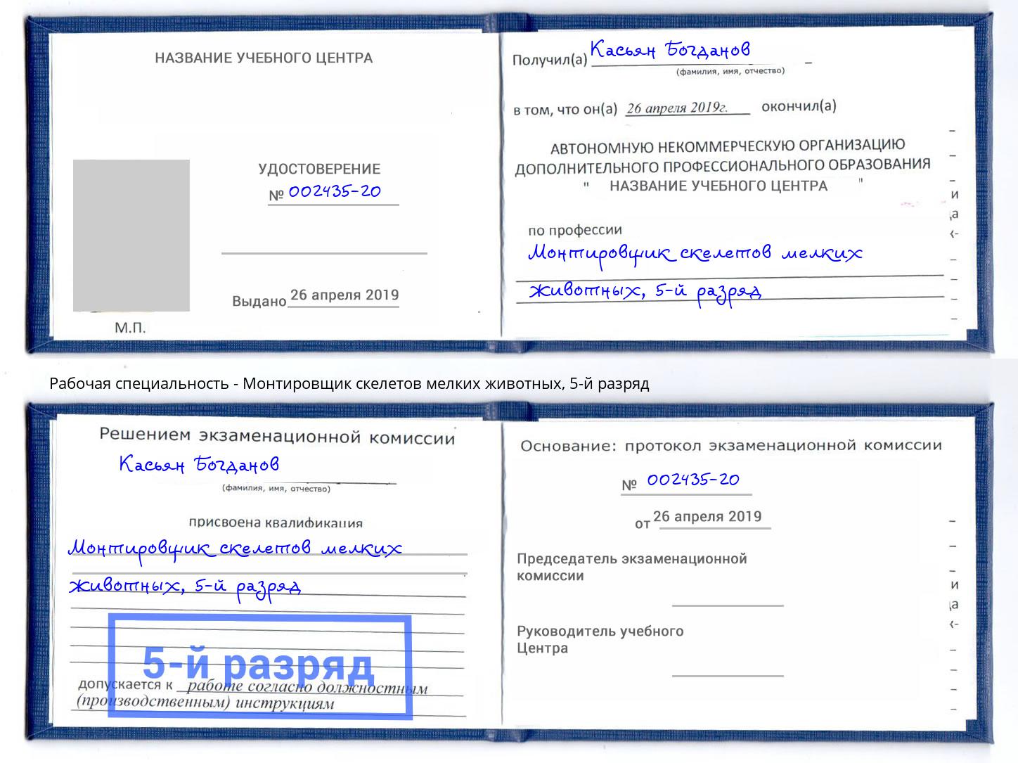 корочка 5-й разряд Монтировщик скелетов мелких животных Гусь-Хрустальный