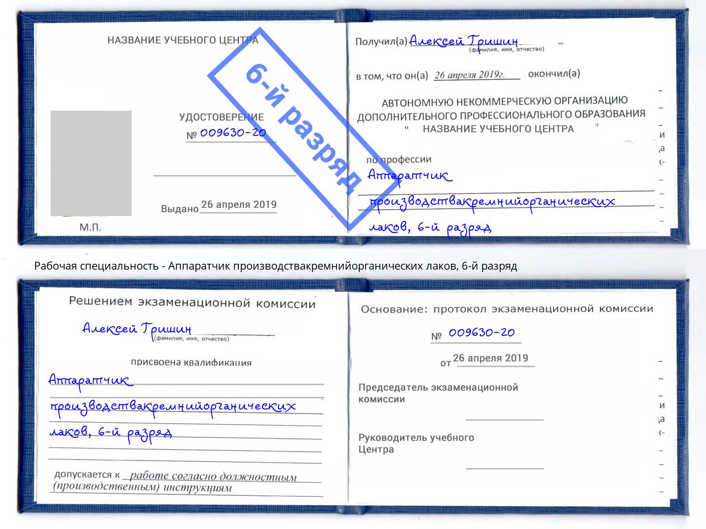 корочка 6-й разряд Аппаратчик производствакремнийорганических лаков Гусь-Хрустальный