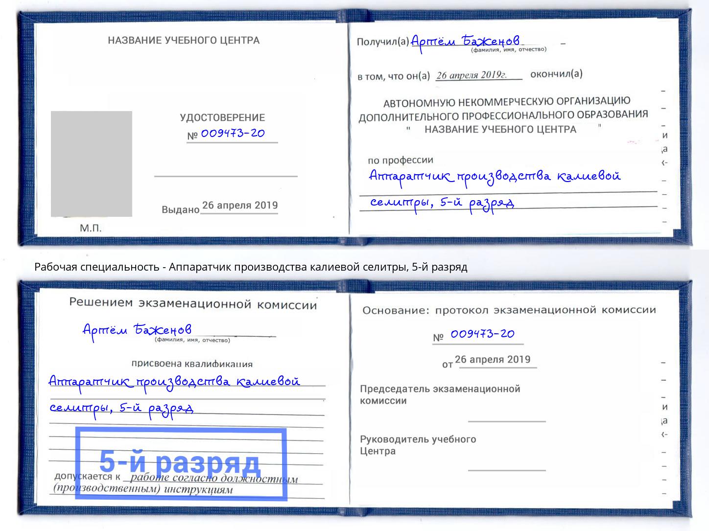 корочка 5-й разряд Аппаратчик производства калиевой селитры Гусь-Хрустальный