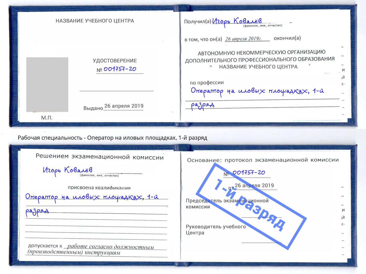 корочка 1-й разряд Оператор на иловых площадках Гусь-Хрустальный