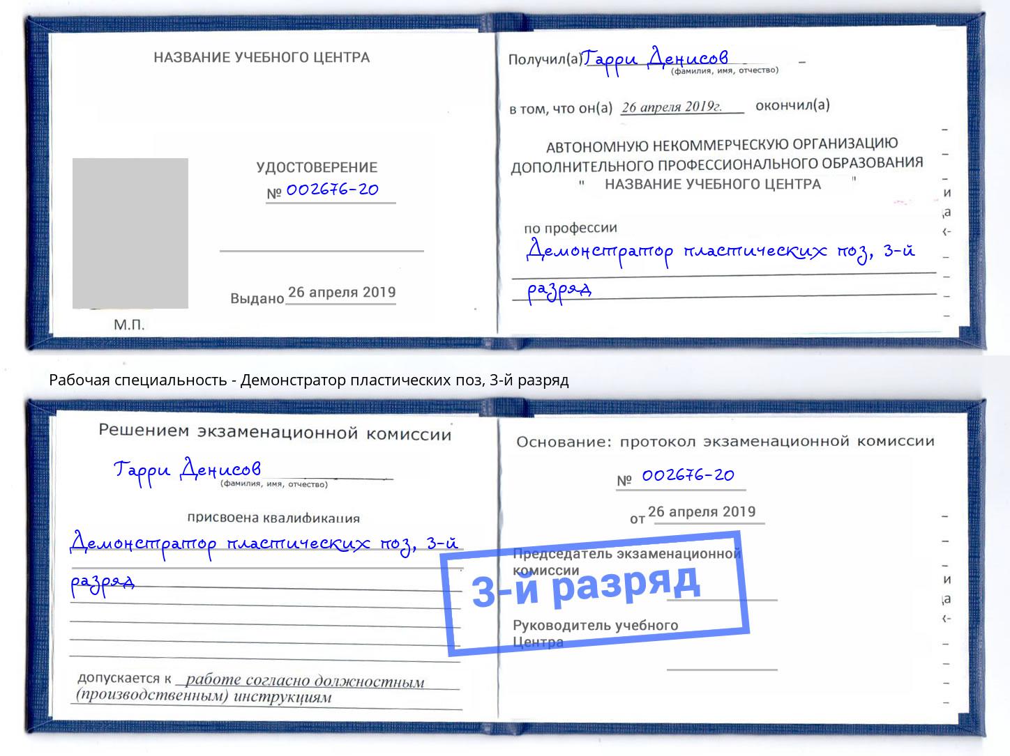 корочка 3-й разряд Демонстратор пластических поз Гусь-Хрустальный