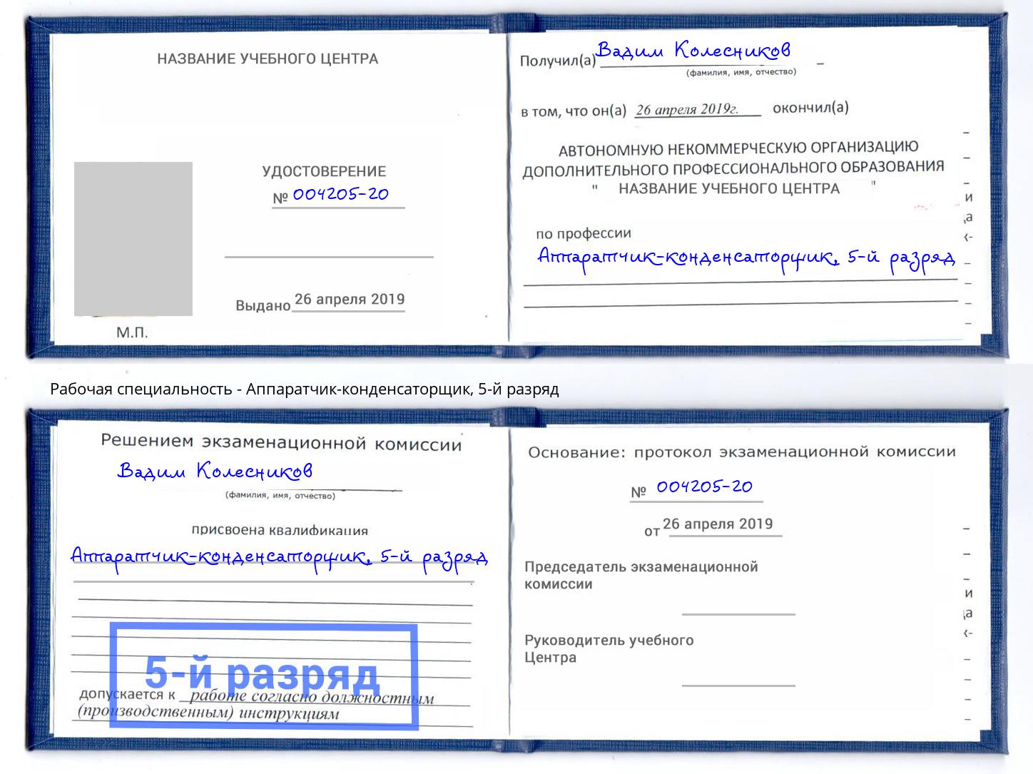 корочка 5-й разряд Аппаратчик-конденсаторщик Гусь-Хрустальный