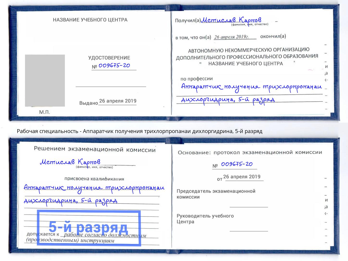 корочка 5-й разряд Аппаратчик получения трихлорпропанаи дихлоргидрина Гусь-Хрустальный