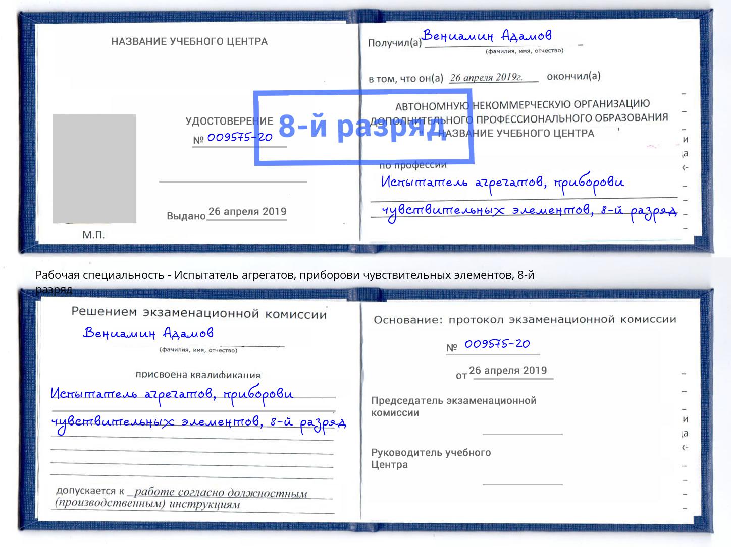корочка 8-й разряд Испытатель агрегатов, приборови чувствительных элементов Гусь-Хрустальный
